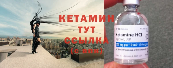 гашик Вяземский