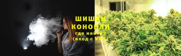 винт Мегион