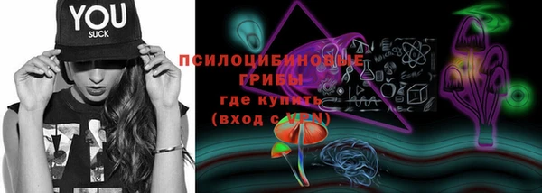 скорость Медвежьегорск