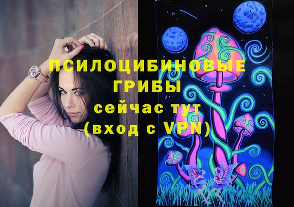 скорость Медвежьегорск