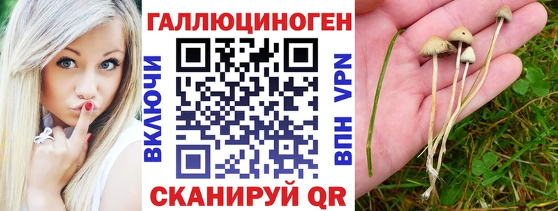 Галлюциногенные грибы MAGIC MUSHROOMS  Дрезна 
