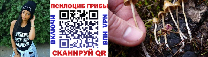 Псилоцибиновые грибы GOLDEN TEACHER Дрезна
